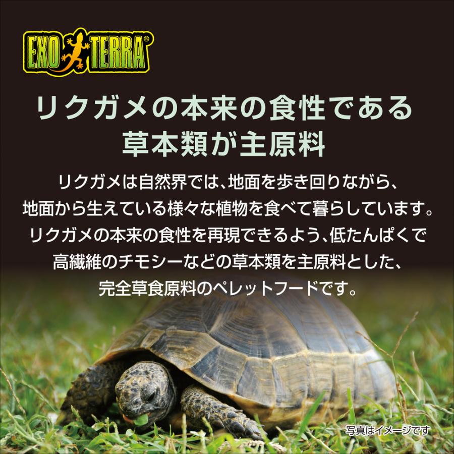 GEX（ジェックス） エキゾテラ リクガメブレンドフード 900g 草食