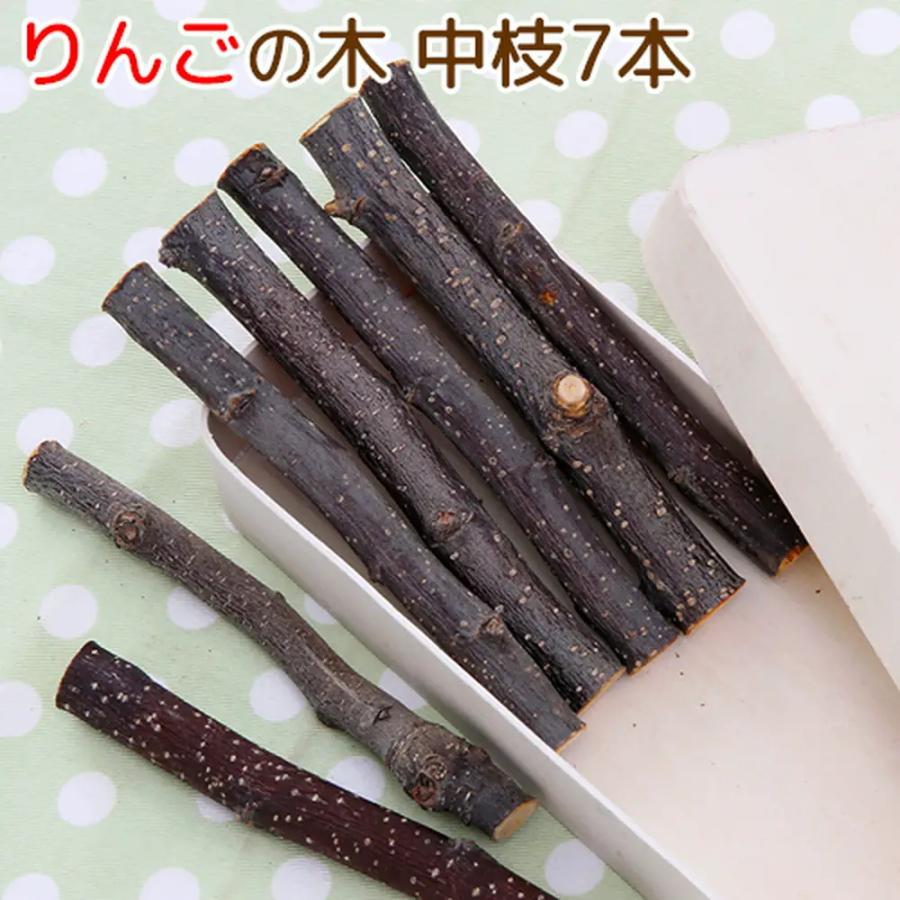 小動物用 かじり木固定用スタンドと国産りんごの木 中枝7本入りセット