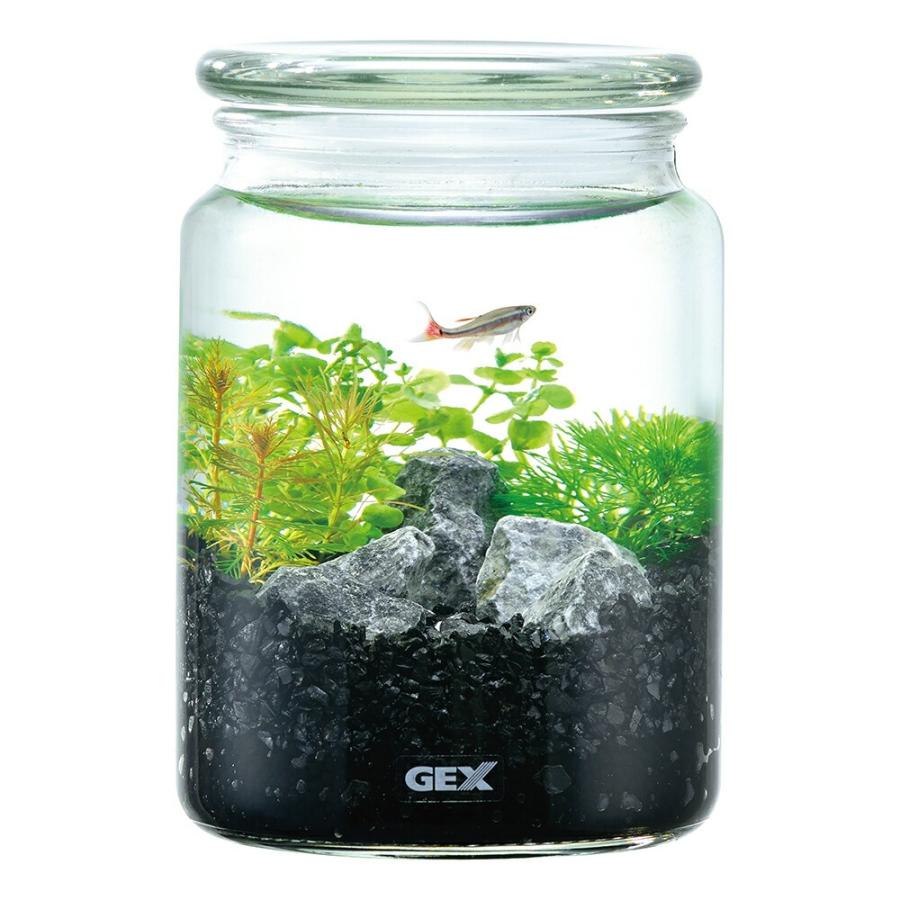 アウトレット品 GEX ボトリウム ネイチャーセット ブラック 訳あり