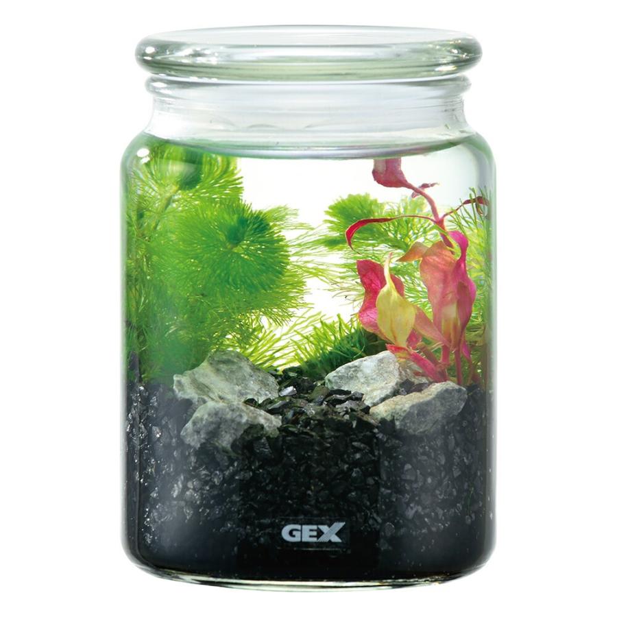 アウトレット品 GEX ボトリウム ネイチャーセット ブラック 訳あり