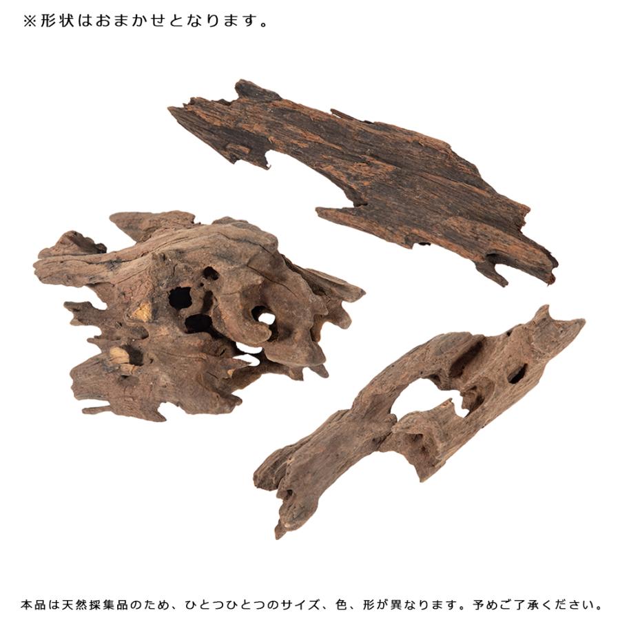 カミハタ　形状お任せ　ラビリンスウッド　ＳＳ　レイアウト |  | 01