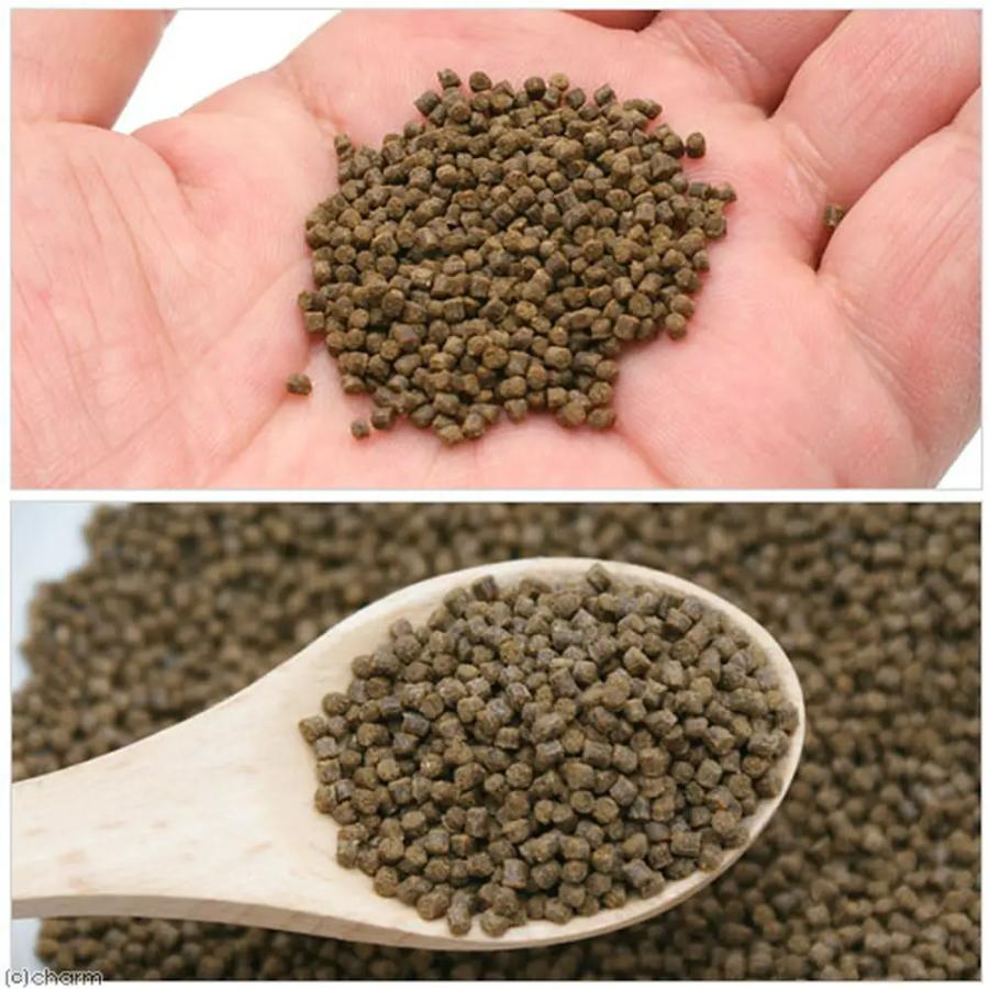 ｆｆ　ｎｕｍ８００　金魚用　粘膜サポートフード　（沈下性）　５００ｇ×２０　プレミアム健康管理フード　金魚の餌_2