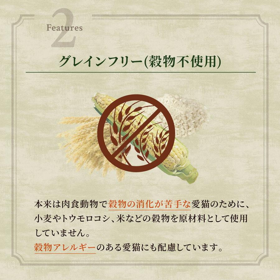 ニュートロ　キャット　ワイルド　レシピ　フリーズドライプラス　アダルト　サーモン　成猫用　４００ｇ×１０　お一人様１点限り | WILD RECIPE | 03