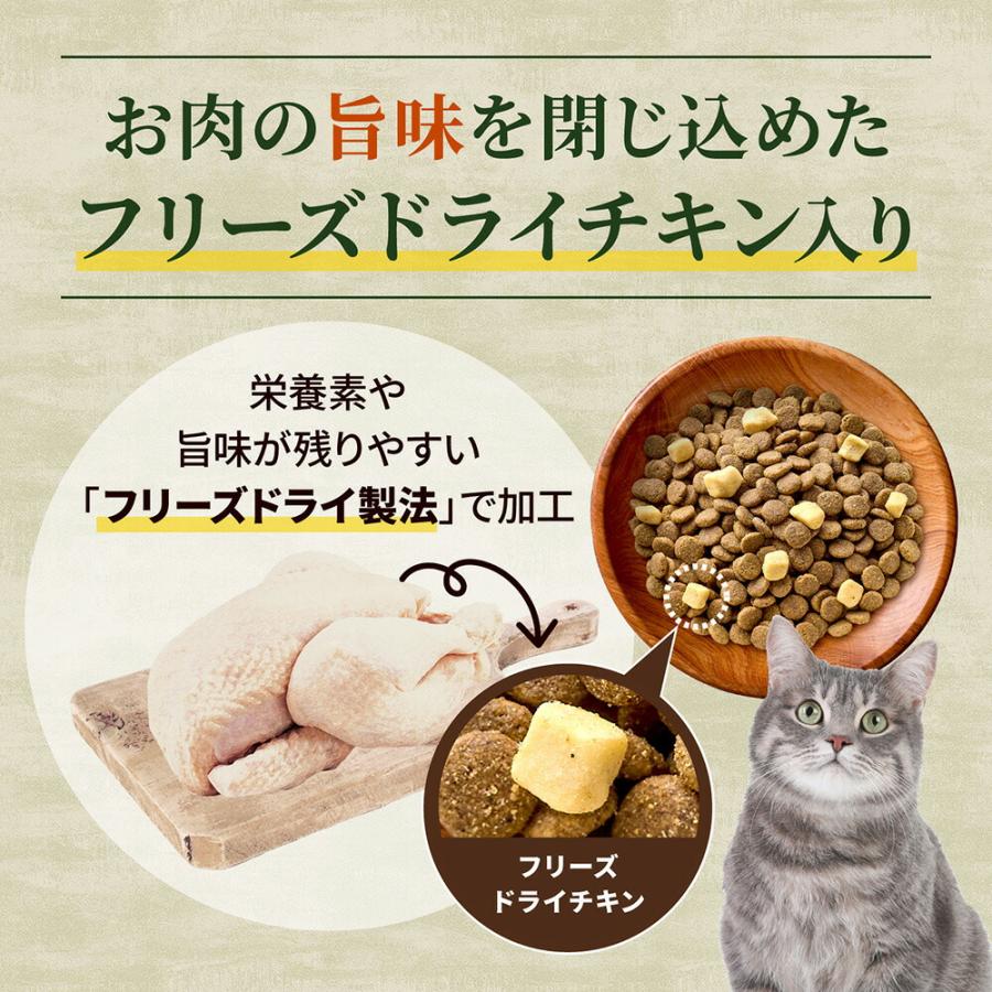 ニュートロ キャット ワイルド レシピ フリーズドライプラス アダルト