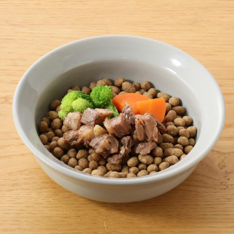 ドットわん　国産牛ごちそうステーキ　３０ｇ |  | 04