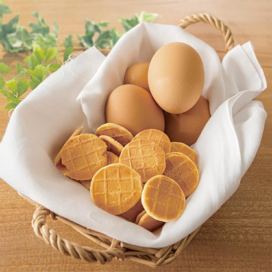 ドットわん　平飼いたまごせんべい　２０ｇ |  | 01