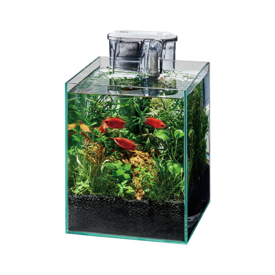 GEX ガラス水槽 グラステリアFL200 スリムフィルターセット