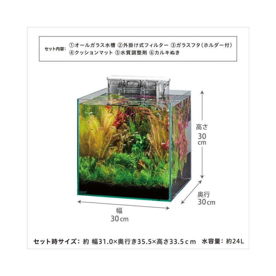GEX ガラス水槽 グラステリア300キューブ スリムフィルター