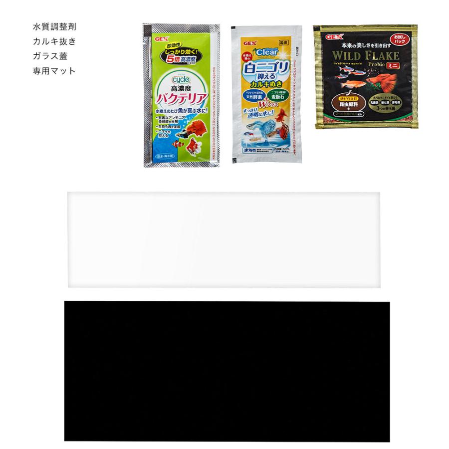 GEX ガラス水槽 グラステリア450スリム スリムフィルターセット