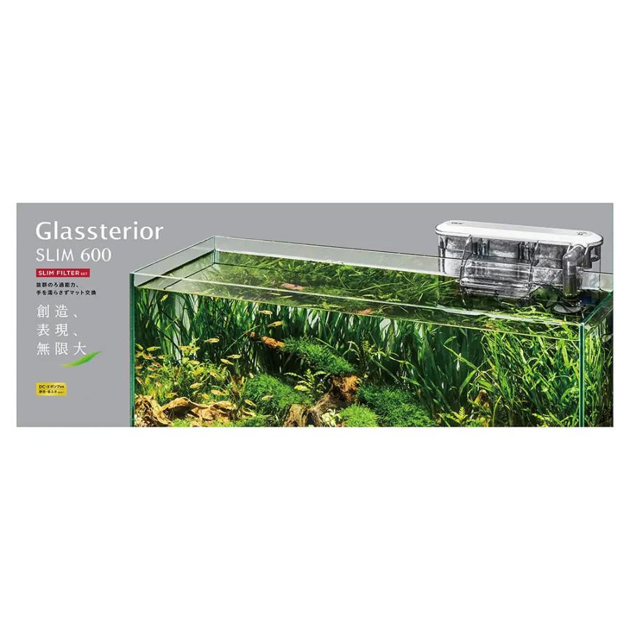 GEX ガラス水槽 グラステリア600スリム スリムフィルターセット