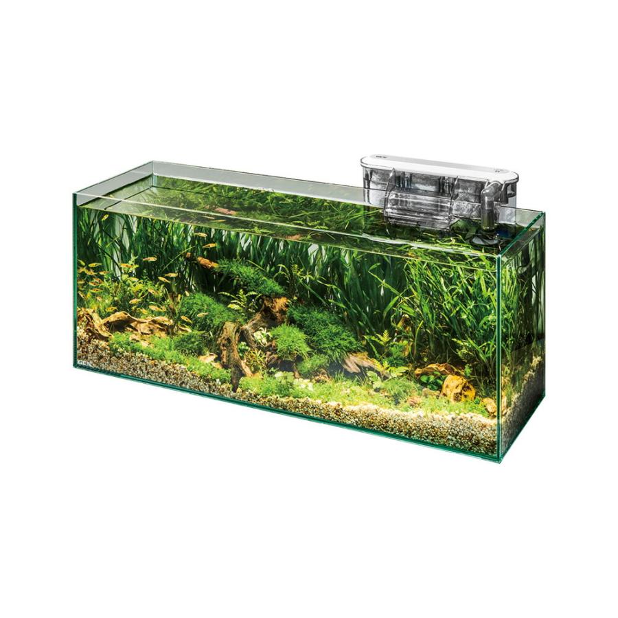GEX ガラス水槽 グラステリア600スリム スリムフィルターセット
