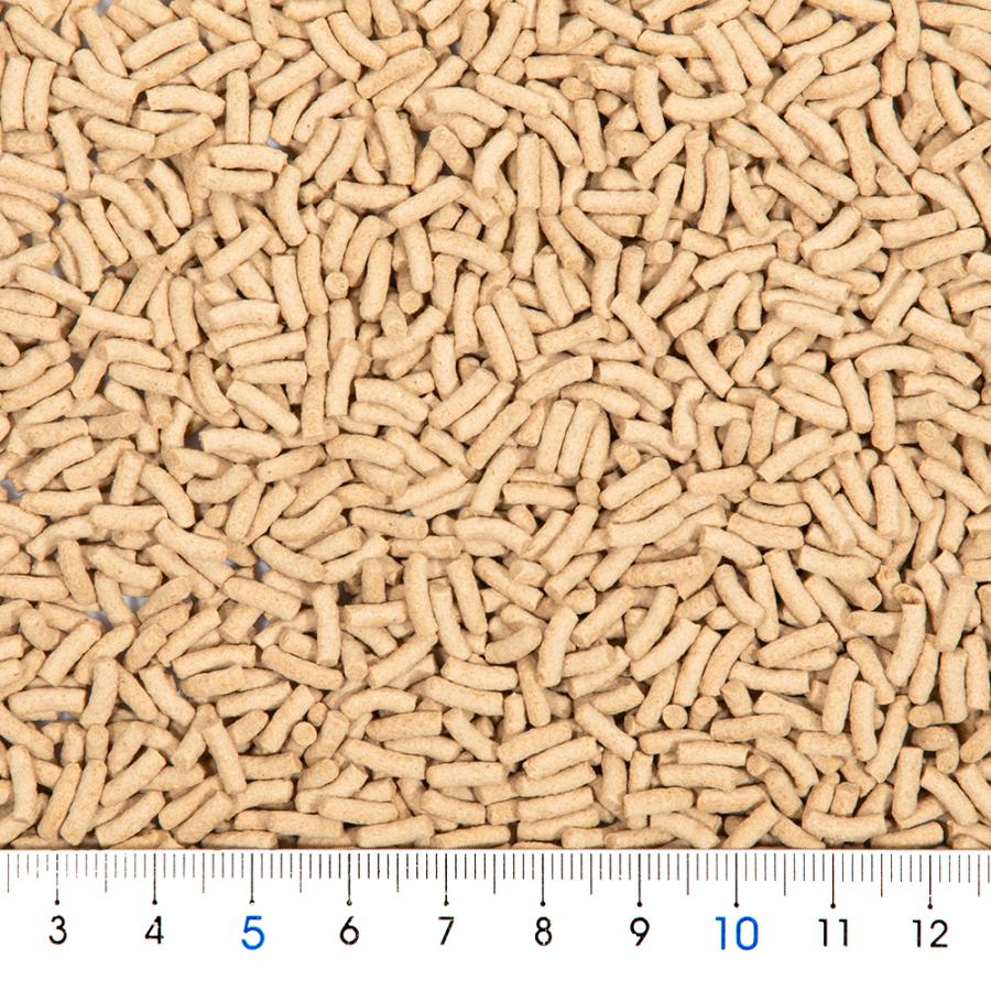 テトラ　レプトミン　中粒　７０ｇ |  | 01