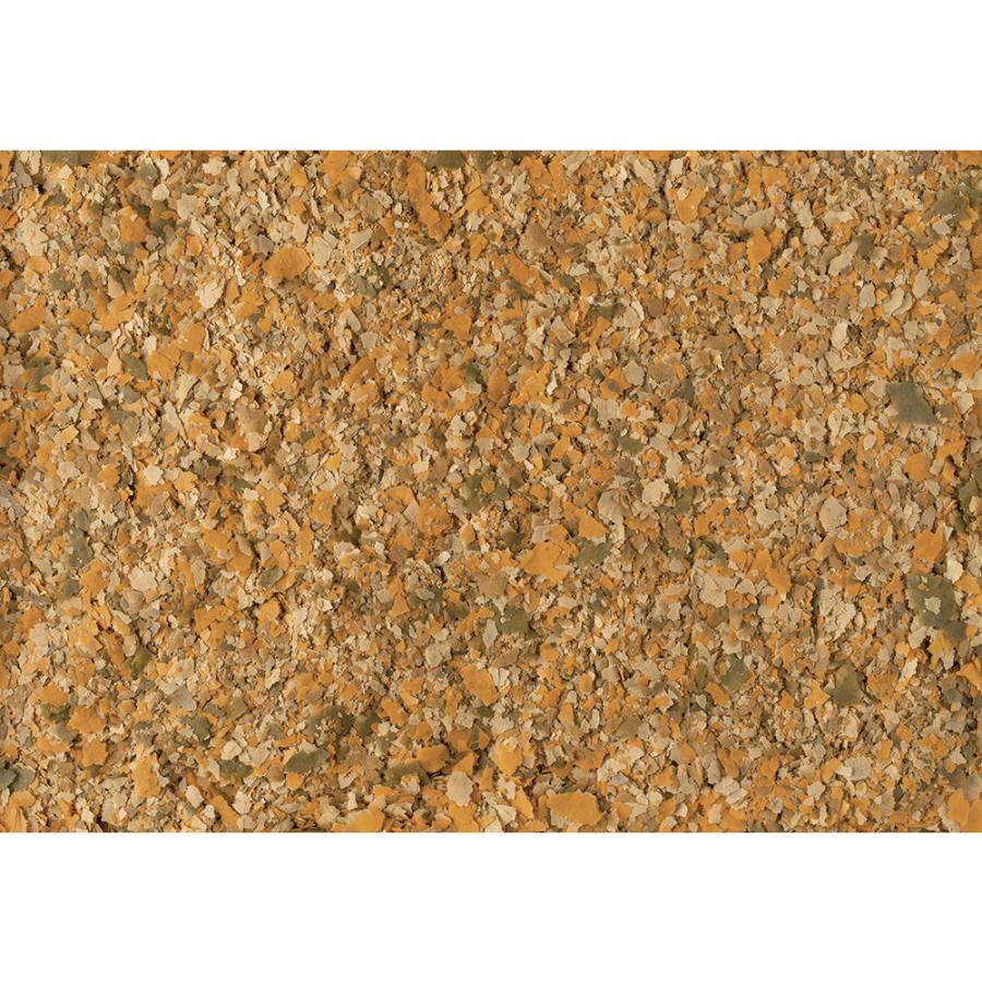 テトラ　テトラミン　１８０ｇ |  | 01