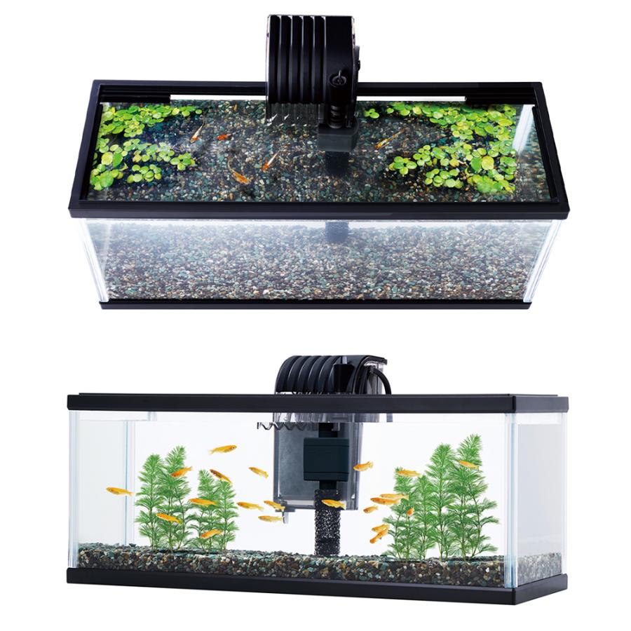 ☆杜のメダカ熱帯魚飼育にオススメ！！アクアテラリウム45 do aqua 