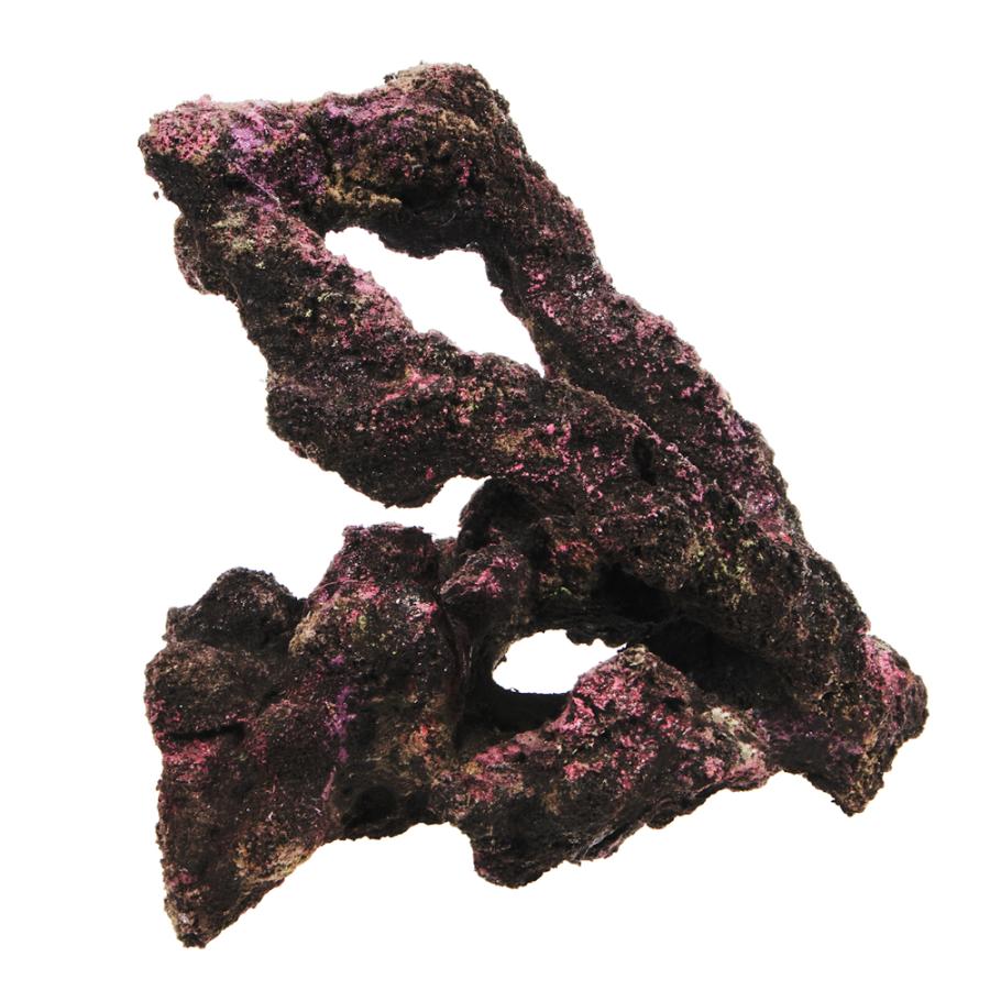 ORCA OCEAN ROCK JB♯2 22×19×16cm ライブ