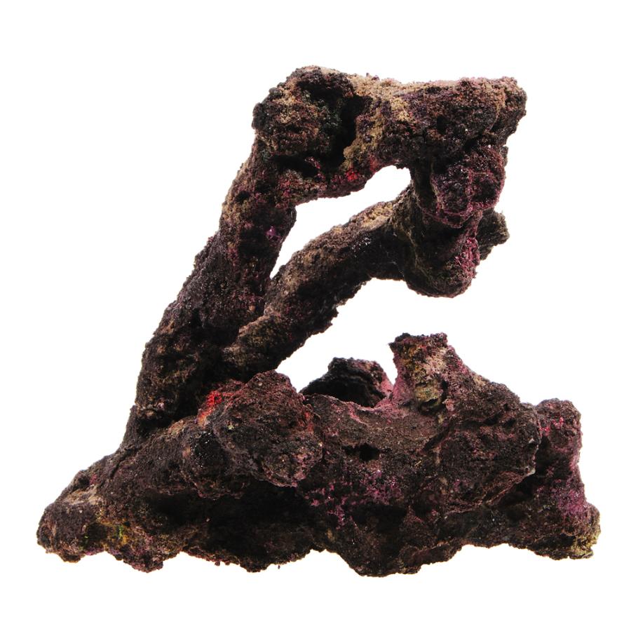 ORCA OCEAN ROCK JB♯2 22×19×16cm ライブ