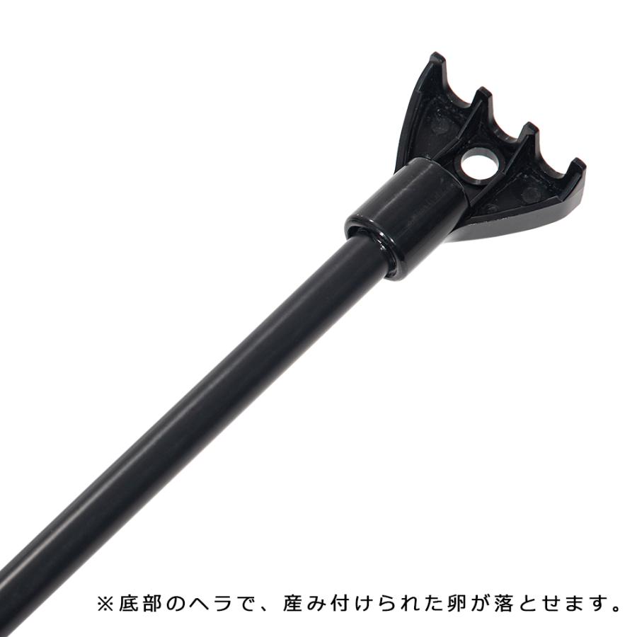 エーワン ジャンボタニシとりネット 卵を落とすヘラ付 Dタイプ