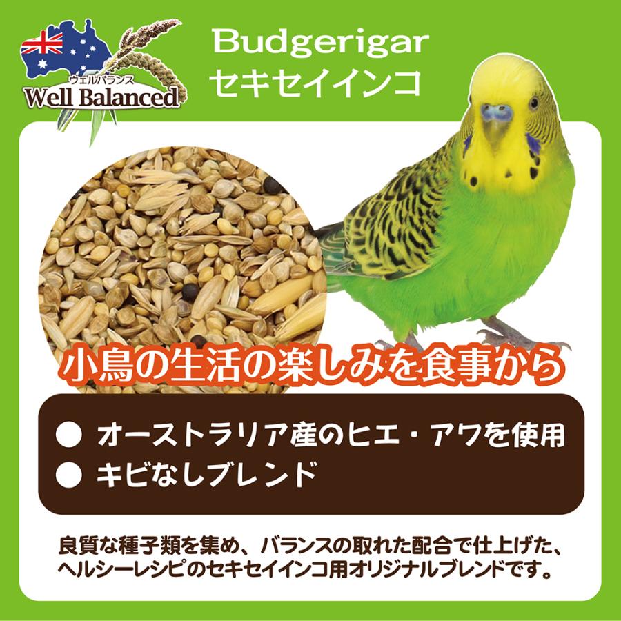 三晃商会 ウェルバランス セキセイインコ 600g 鳥 皮つき
