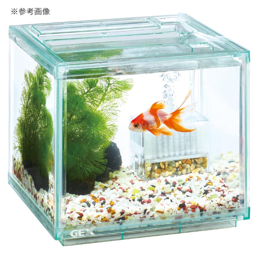 お取引中　GEX水槽　金魚2匹　セット ジェックス 金魚 水槽セット」の人気商品一覧 | 安い商品を通販サイト