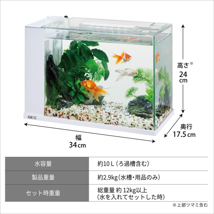GEX アワーズ ホワイト : チャーム charm ヤフー店 - 通販 - Yahoo