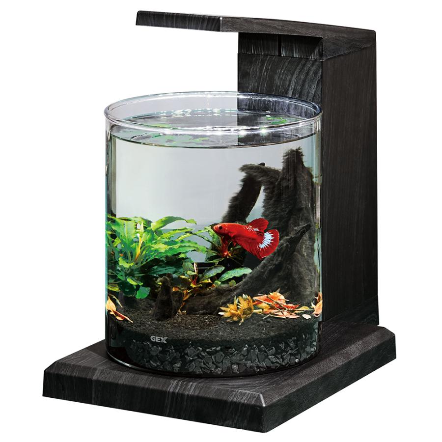 GEX グラスアクア PERCO C-Charcoal Black GEX 水槽セット グラス