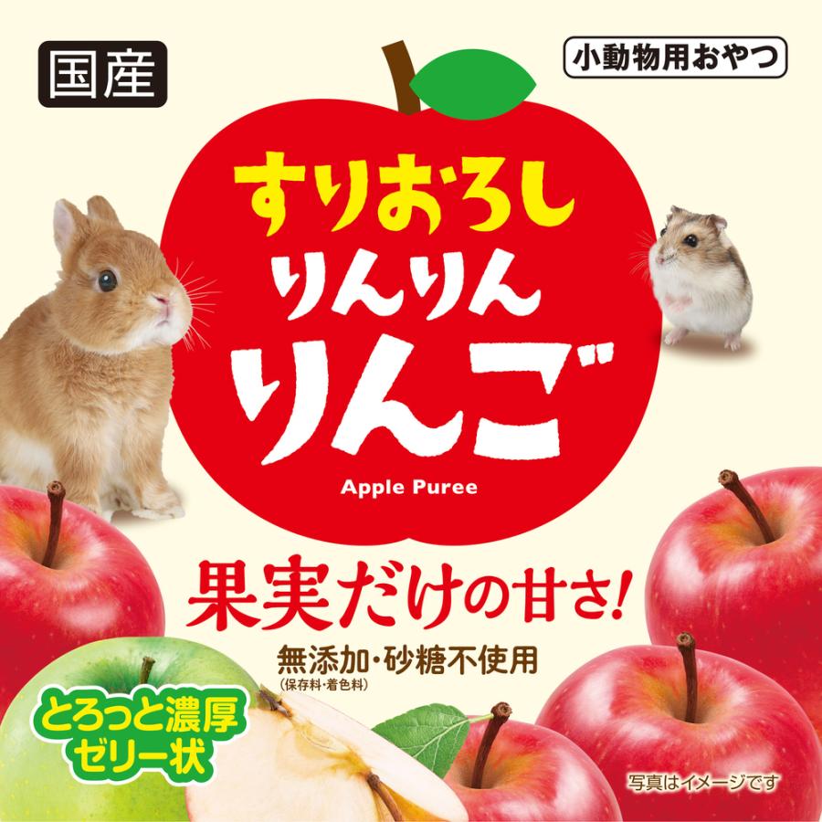 GEX すりおろし りんりんりんご 5g×6個入 : チャーム charm