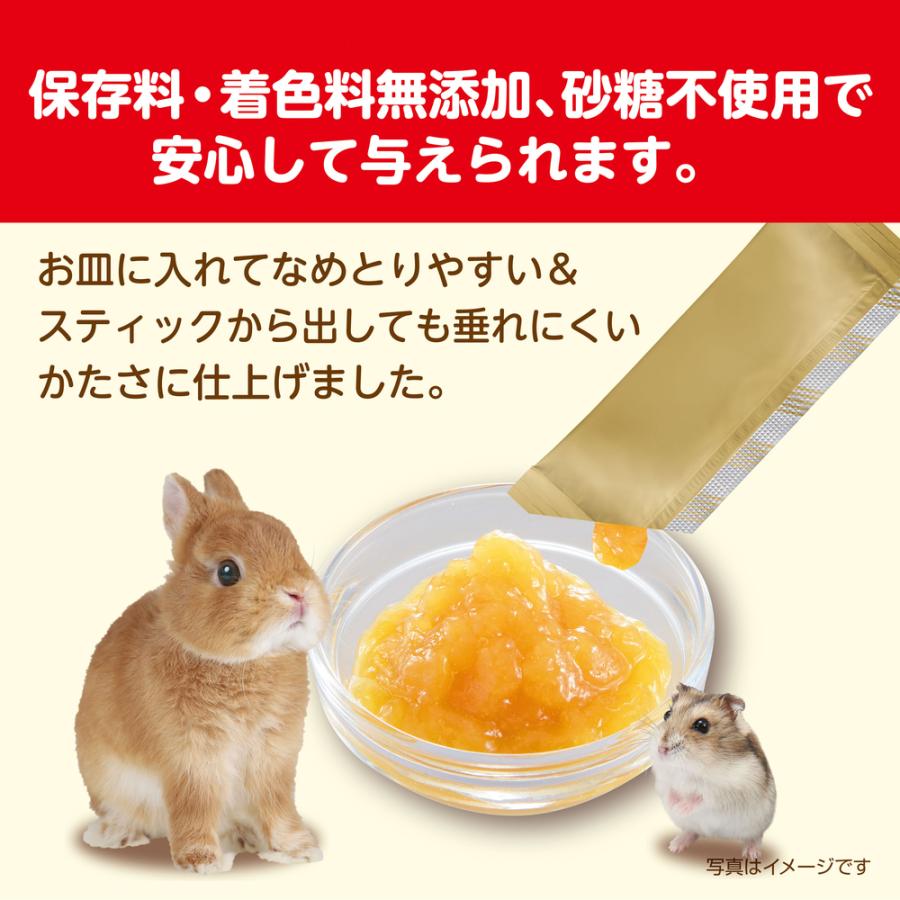 GEX すりおろし りんりんりんご 5g×6個入 : チャーム charm