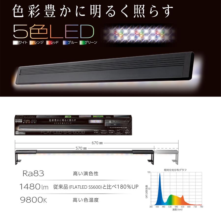 コトブキ工芸 フラットLED S−5 600B : チャーム charm
