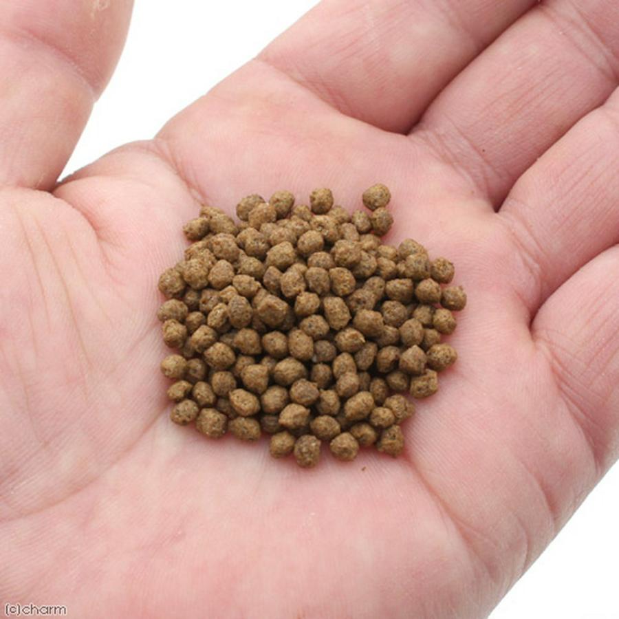コメット 大エビ カメのおやつ 55g＋ニオイ・汚れを抑える ff