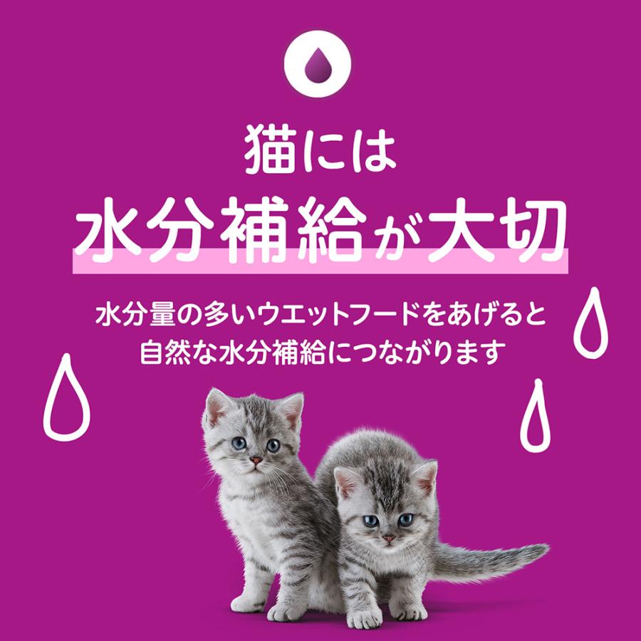 カルカン カルカン パウチ 12ヵ月までの子ねこ用 まぐろ たい入り