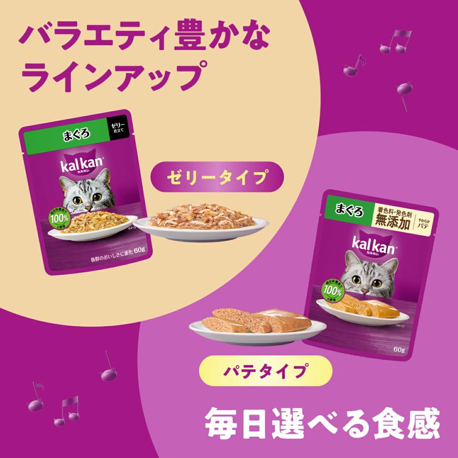 カルカン カルカン パウチ 18歳から お魚・お肉ミックス まぐろ