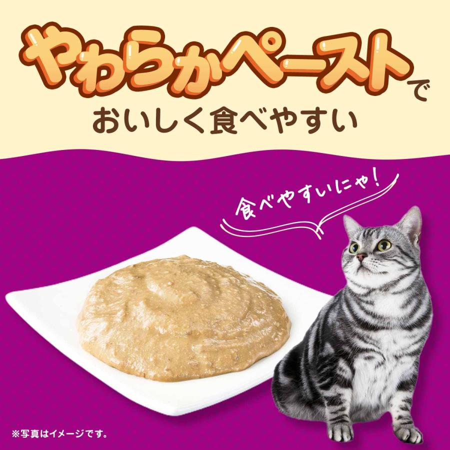 カルカン カルカン パウチ 11歳から やわらかペースト 味わいとり