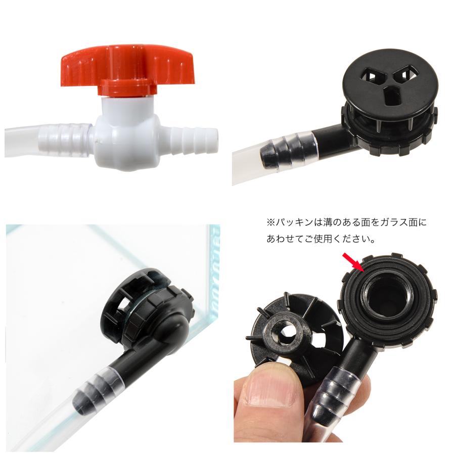 アクロ スーパークリア パルダリウムケージ 30×30×45cm 前面