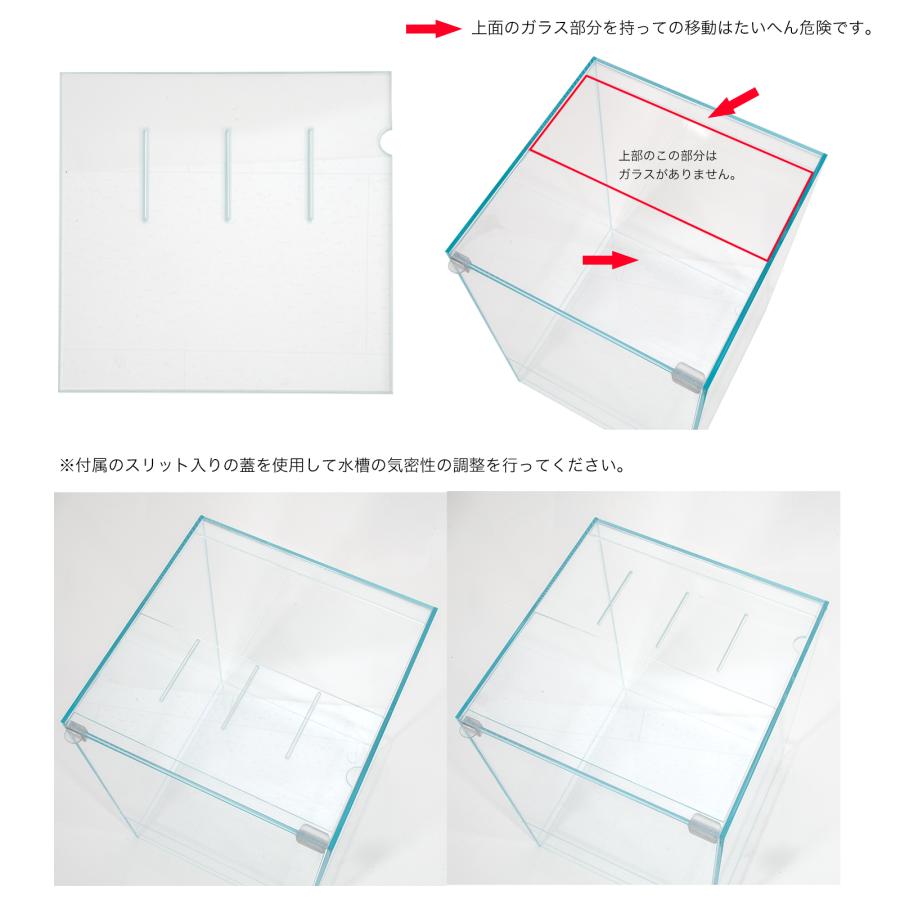 アクロ スーパークリア パルダリウムケージ 30×30×45cm 底面