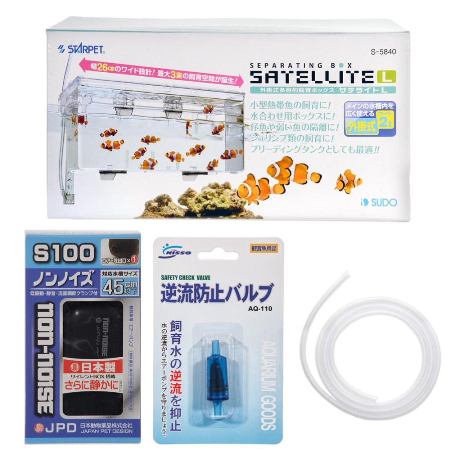 海水魚）サテライトリフジウムセット（ホソジュズモ） 本州四国限定