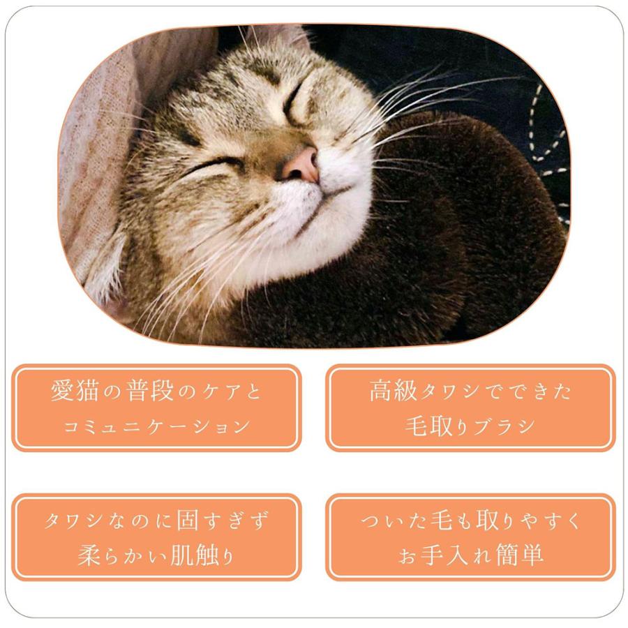 PetPro（ペットプロ） アウトレット品 ねこがくれ 猫が喜ぶマッサージ