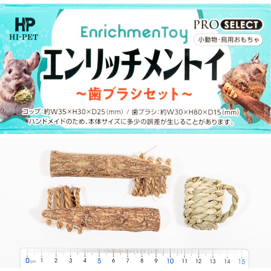 ハイペット エンリッチメントイ 歯ブラシセット 3個入り（2＋1個