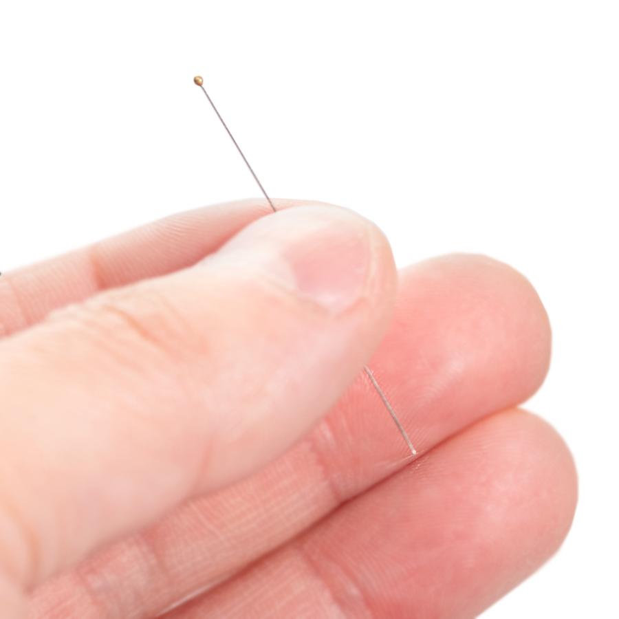 標本針 Ento Sphinx Insect Pins 000号 100本入り 長さ38mm : チャーム charm ヤフー店 - 通販 ...