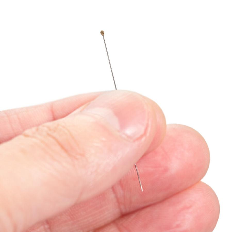 標本針 Austerlitz Insect Pins 000号 100本入り 長さ38mm : チャーム charm ヤフー店 - 通販 ...