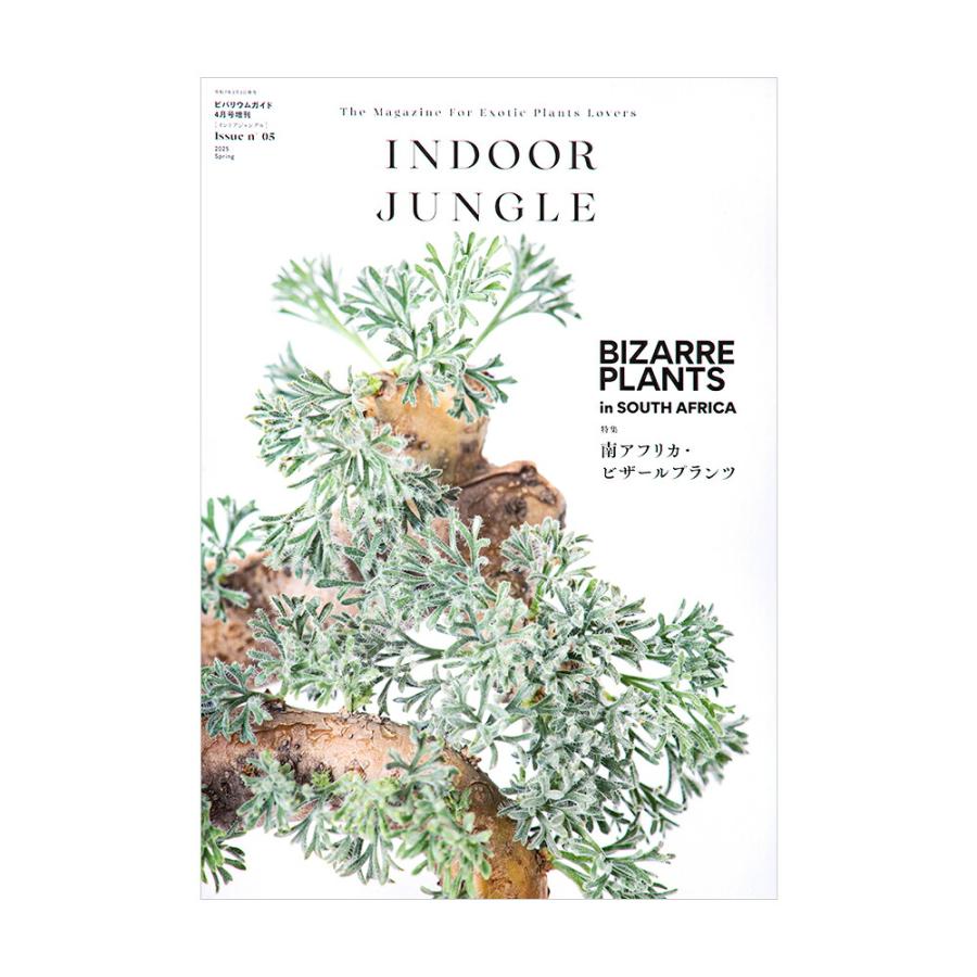 INDOOR JUNGLE インドア・ジャングル2025 No．5