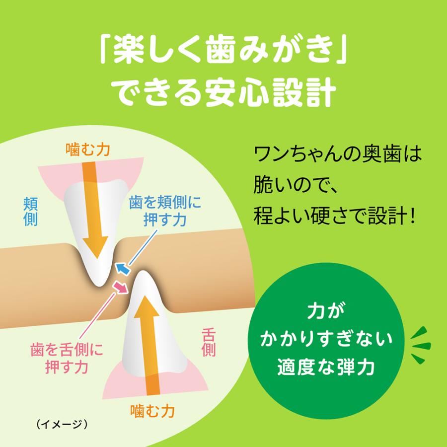 ライオン ペットキッス PETKISS Toy発想のデンタルトリーツ