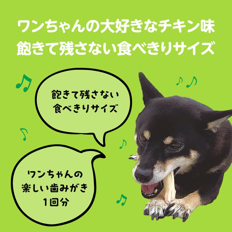 ライオン ペットキッス PETKISS Toy発想のデンタルトリーツ