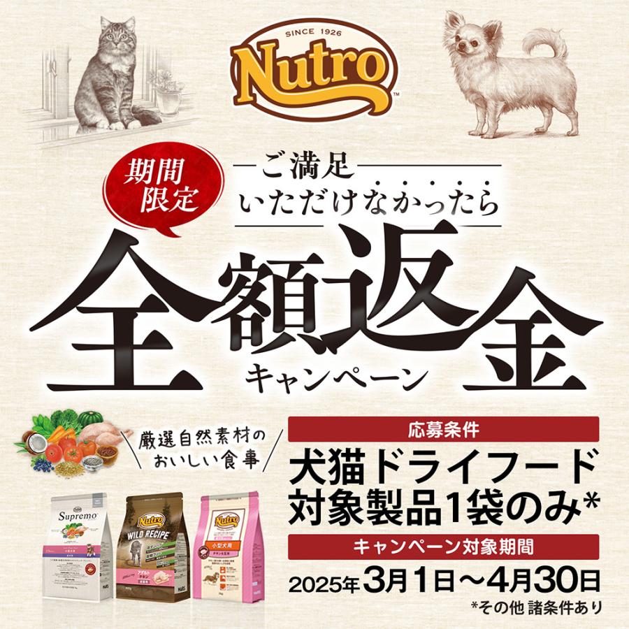 シュプレモ 【返金キャンペーン】ニュートロ 猫 シュプレモ 成猫 シュプレモ 【返金キャンペーン】ニュートロ 猫 シュプレモ 成猫