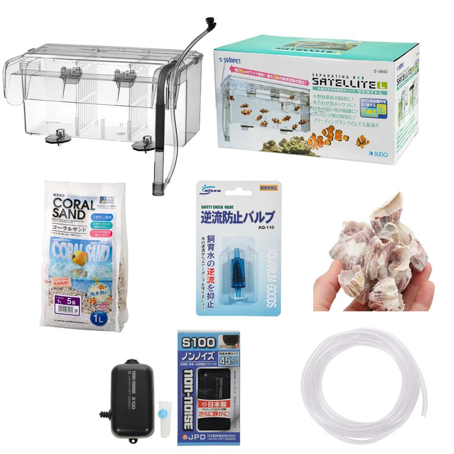 海水魚）海水生体のサテライト飼育セット 本州四国限定 北海道