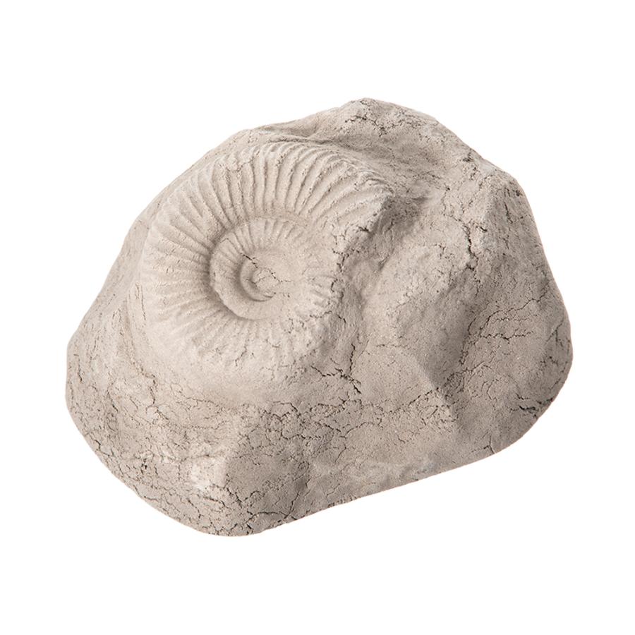 サンミューズ ゼオライトの石 アンモナイト Mサイズ : チャーム charm