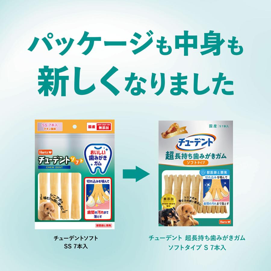 チューデント　超長持ち歯みがきガム　ソフトタイプ　Ｓ　７本入 |  | 02
