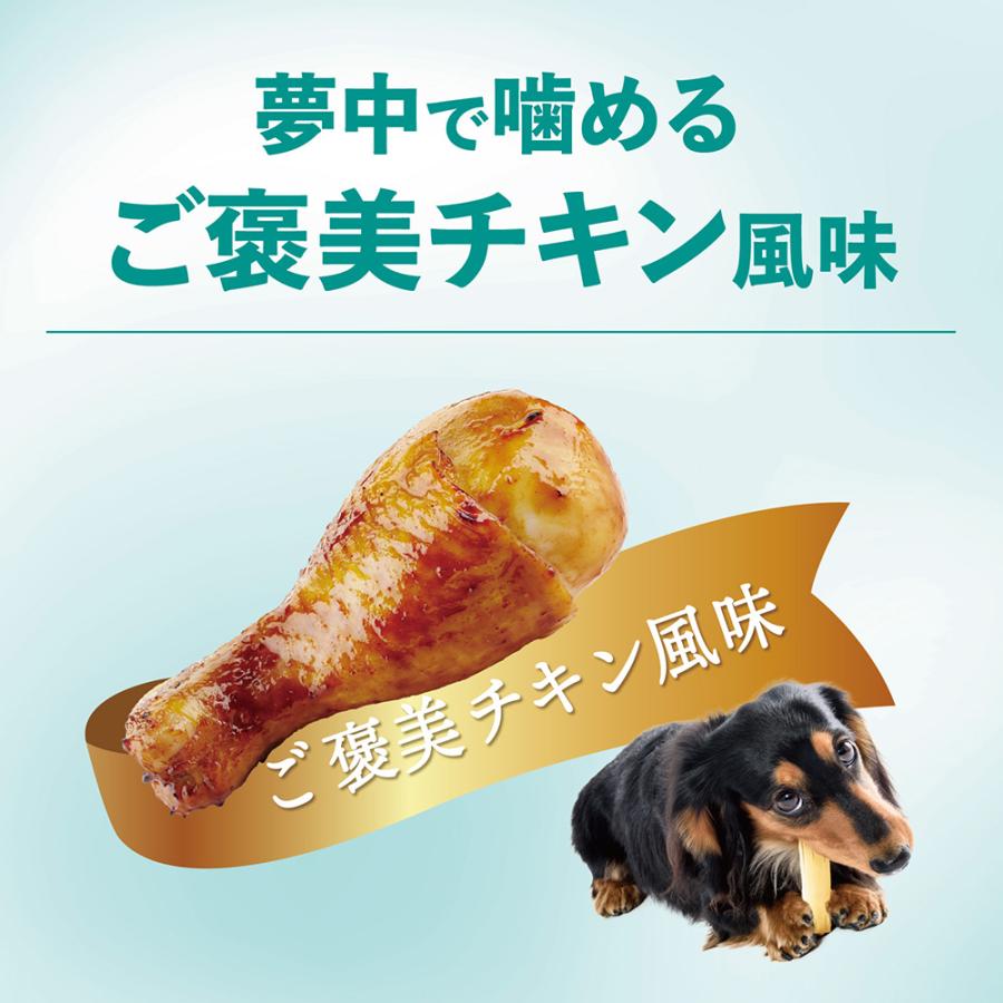 チューデント　超長持ち歯みがきガム　ソフトタイプ　Ｓ　７本入 |  | 05