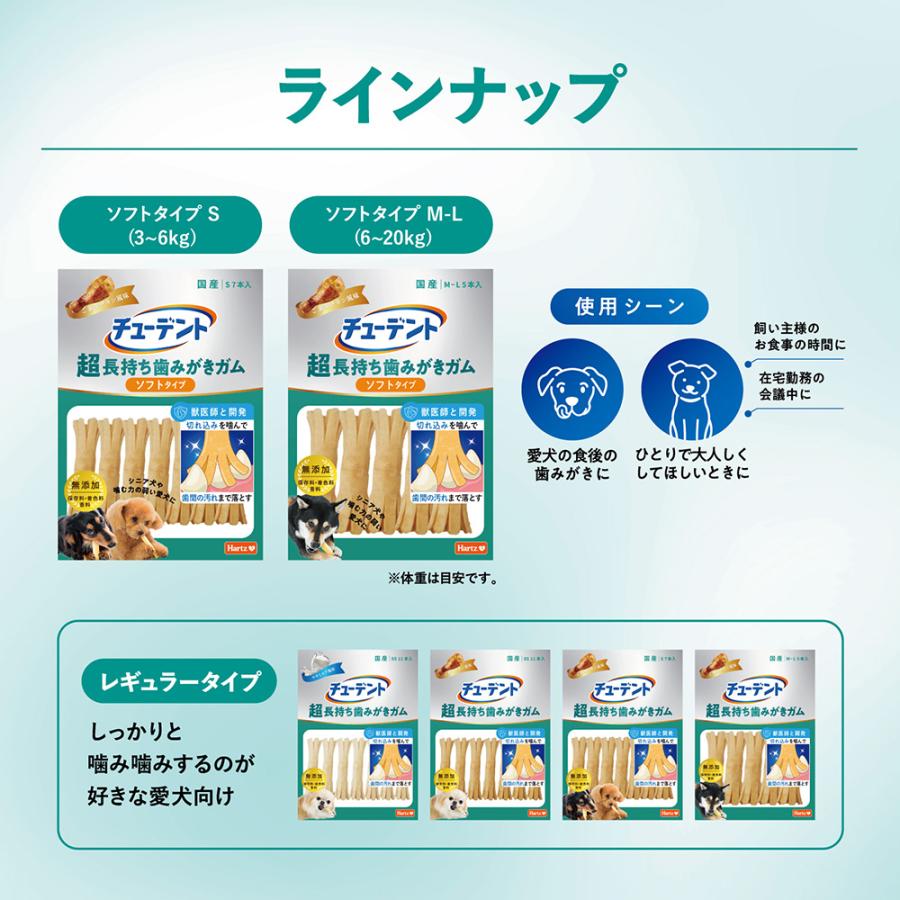 チューデント　超長持ち歯みがきガム　ソフトタイプ　Ｓ　７本入 |  | 06