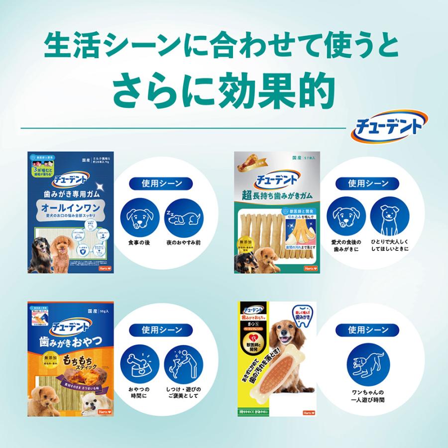 チューデント　超長持ち歯みがきガム　ソフトタイプ　Ｓ　７本入 |  | 07