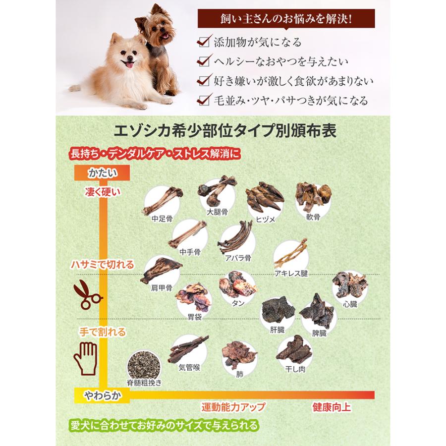 犬　おやつ　ナチュラルグレイス　エゾシカ　肝臓　３０ｇ |  | 05